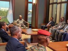 Xasan Sheekh oo kulan la qaatay Wafdi sare oo ka socday dowladda Jabuuti